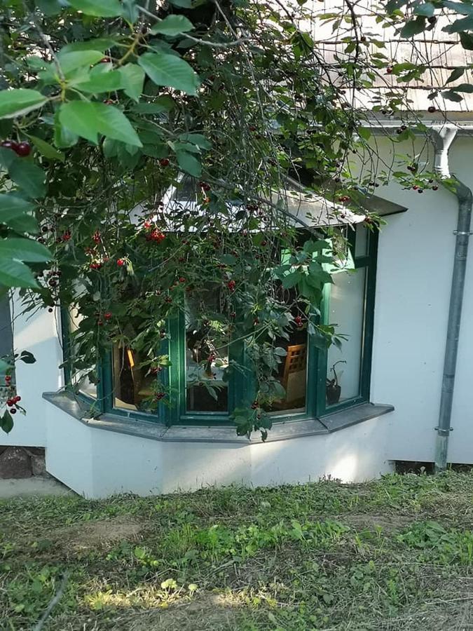 Nyugalomsziget Villa Kotcse ภายนอก รูปภาพ