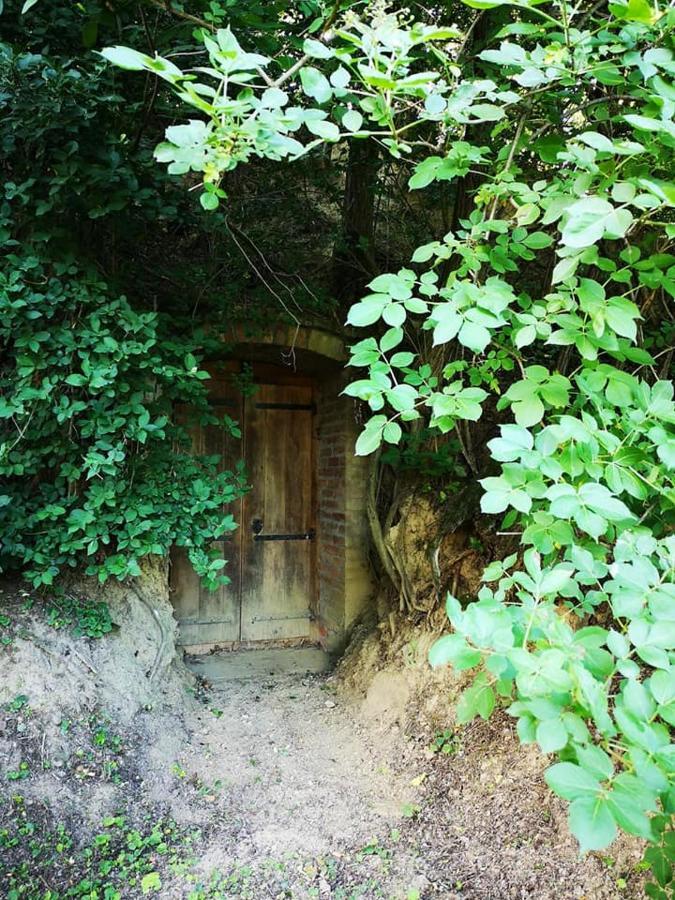 Nyugalomsziget Villa Kotcse ภายนอก รูปภาพ