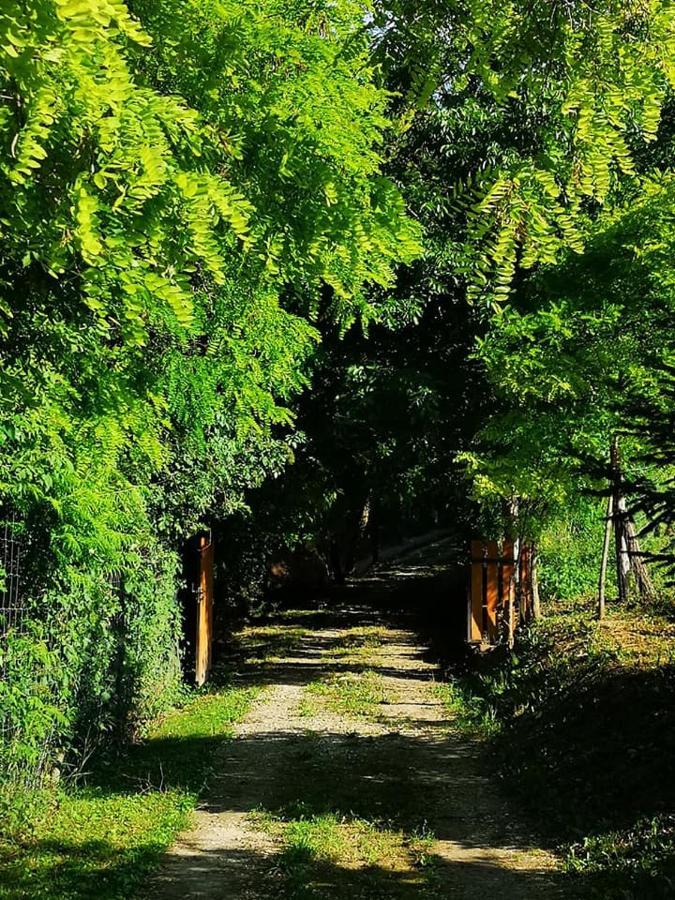 Nyugalomsziget Villa Kotcse ภายนอก รูปภาพ
