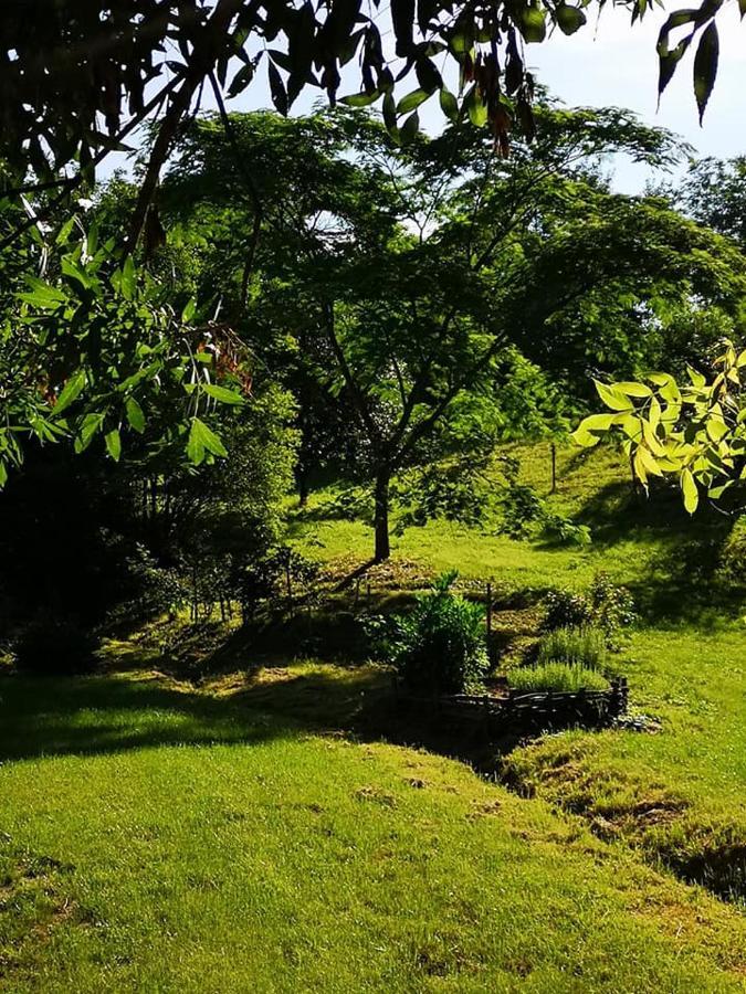 Nyugalomsziget Villa Kotcse ภายนอก รูปภาพ